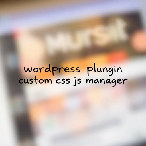 پلاگین وردپرس custom css js manager
